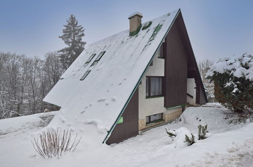 Photo 6 - Maison en Svoboda nad Úpou avec jardin