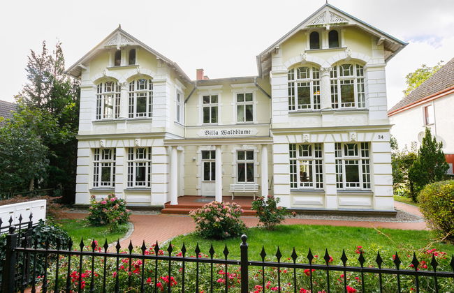 Apartamento de 1 quarto em Zempin com jardim - Foto 25