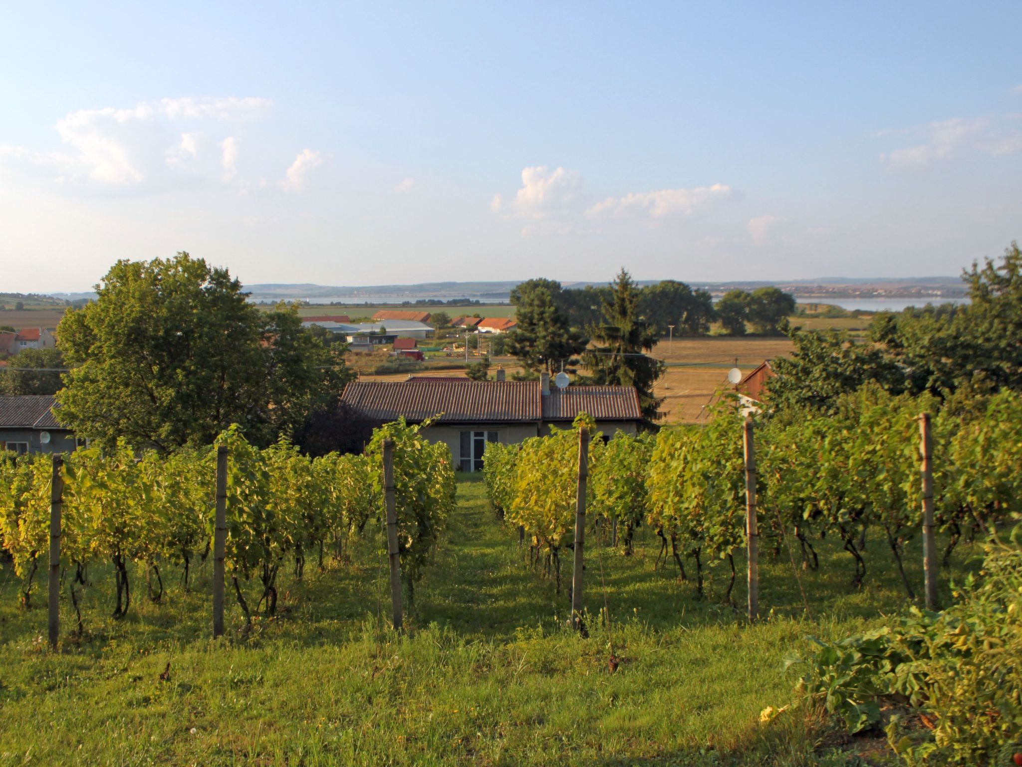 Foto 1 - Haus mit 3 Schlafzimmern in Milovice mit garten