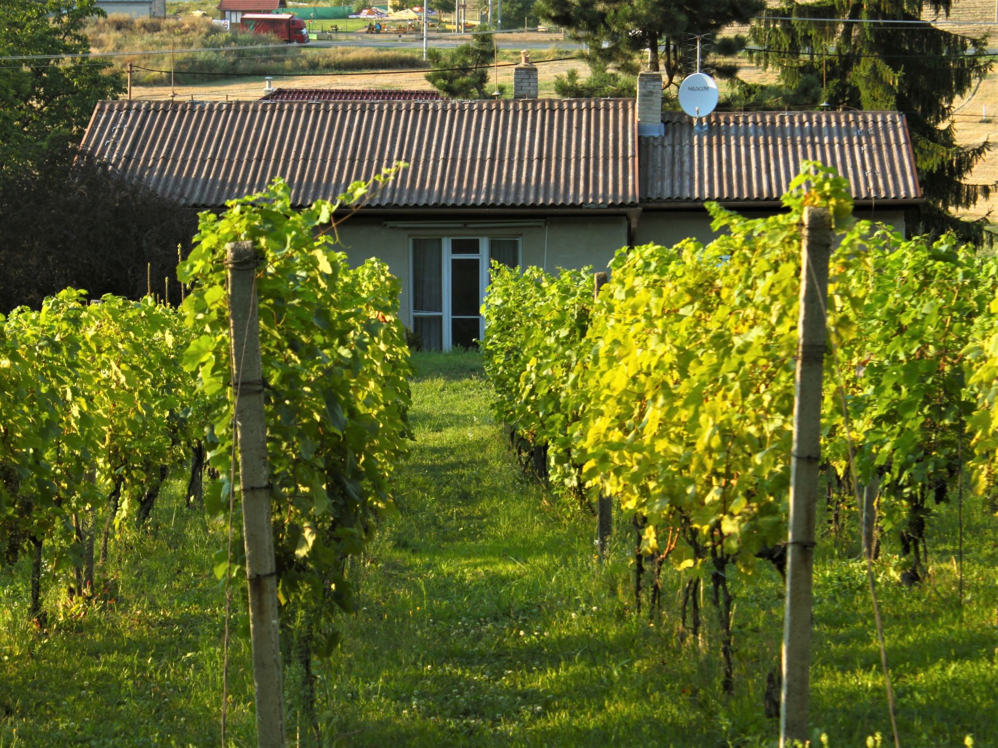 Foto 6 - Haus mit 3 Schlafzimmern in Milovice mit garten