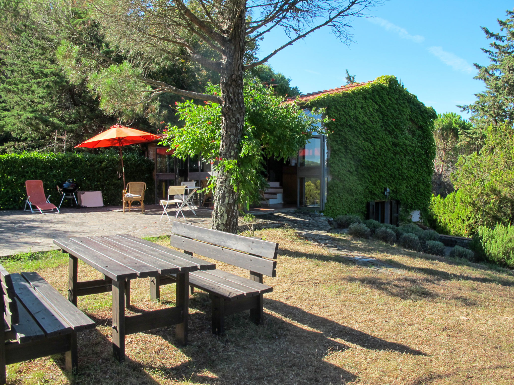 Photo 21 - Maison de 1 chambre à Montieri avec jardin et terrasse