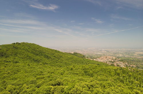 Photo 39 - 7 bedroom House in Rocca Priora with private pool and garden