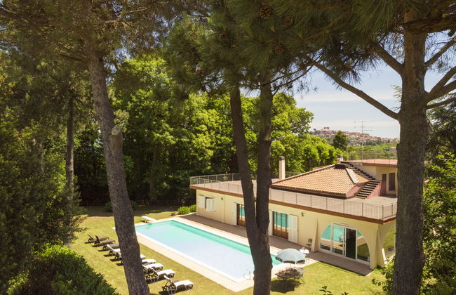 Haus mit 7 Schlafzimmern in Rocca Priora mit privater pool und garten - Foto 6