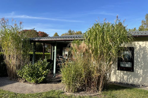 Photo 23 - Maison de 1 chambre à Dobbertin avec jardin et terrasse