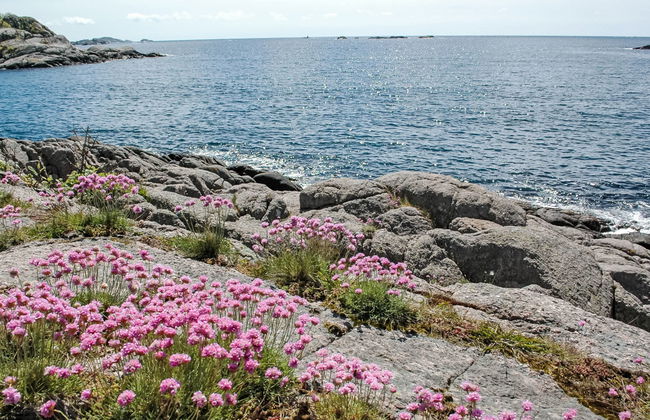 Casa de 3 quartos em Farsund com jardim - Foto 45
