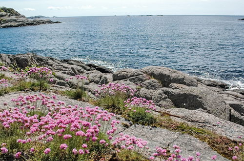 Foto 45 - Haus mit 2 Schlafzimmern in Farsund mit garten