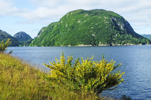 Foto 48 - Haus mit 2 Schlafzimmern in Farsund mit garten