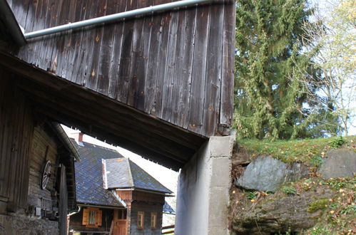 Foto 68 - Haus mit 3 Schlafzimmern in Wolfsberg mit garten und blick auf die berge