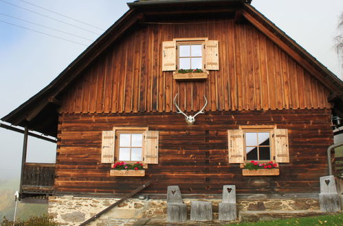 Foto 72 - Casa de 3 quartos em Wolfsberg com jardim e terraço