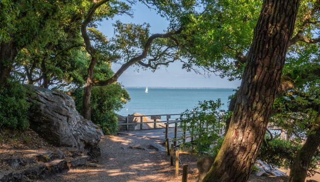 Apartamento de 1 quarto em Noirmoutier-en-l'Île com piscina e terraço - Foto 4