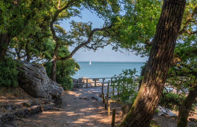 Apartamento de 1 quarto em Noirmoutier-en-l'Île com piscina e terraço - Foto 5