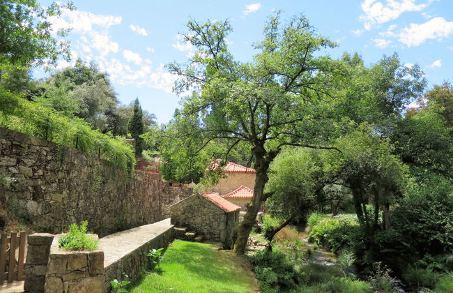 Casa de 3 quartos em Ponte de Lima com jardim e terraço - Foto 39