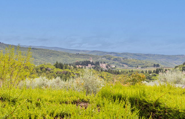 Apartment mit 1 Schlafzimmer in San Casciano in Val di Pesa mit schwimmbad und garten - Foto 39
