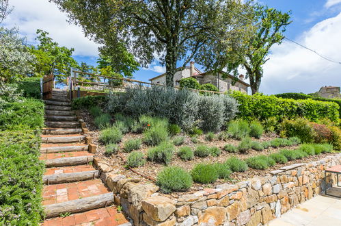 Foto 58 - Appartamento con 2 camere da letto a Bucine con piscina e giardino