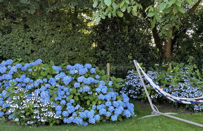 Casa de 5 quartos em Stavoren com jardim e terraço - Foto 26