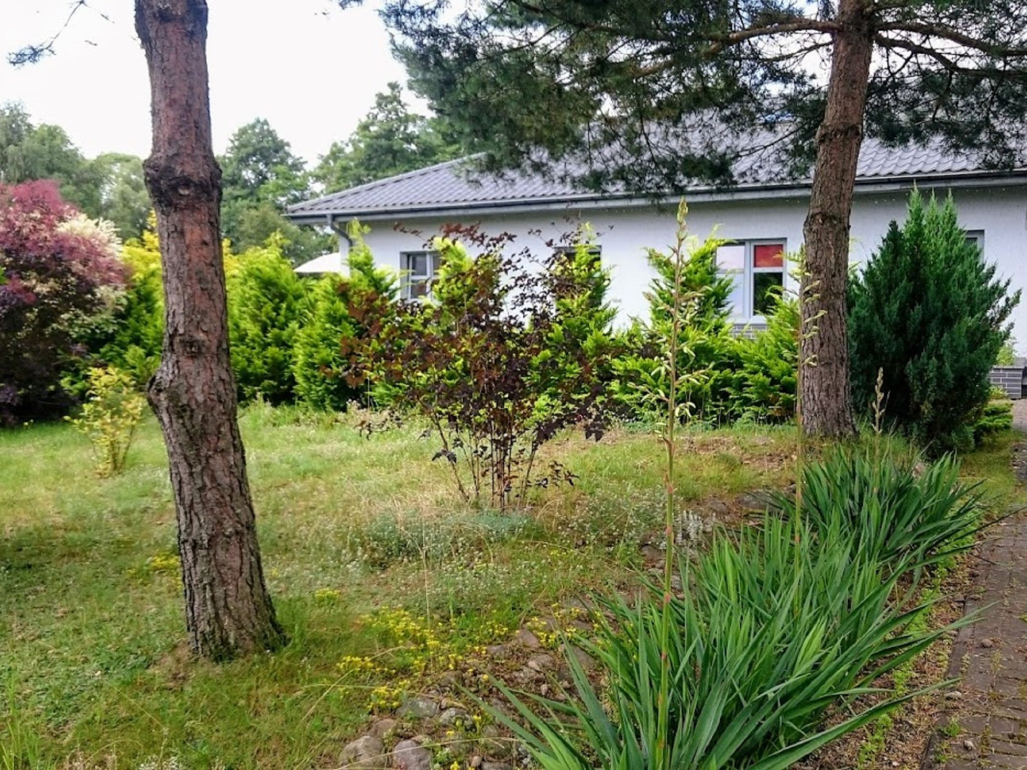 Photo 2 - Appartement de 1 chambre à Czaplinek avec jardin et terrasse