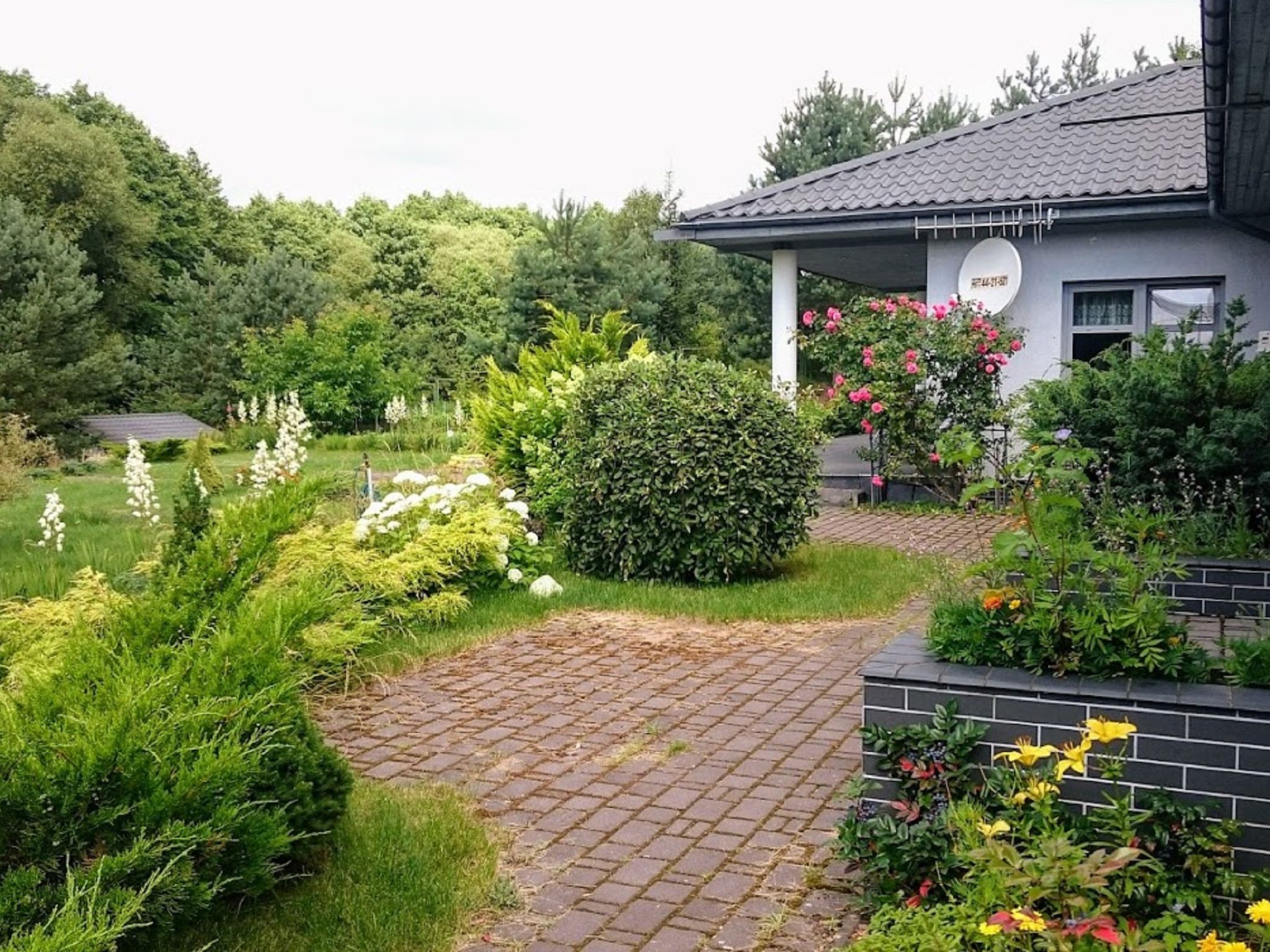 Foto 24 - Appartamento con 1 camera da letto a Czaplinek con giardino e terrazza