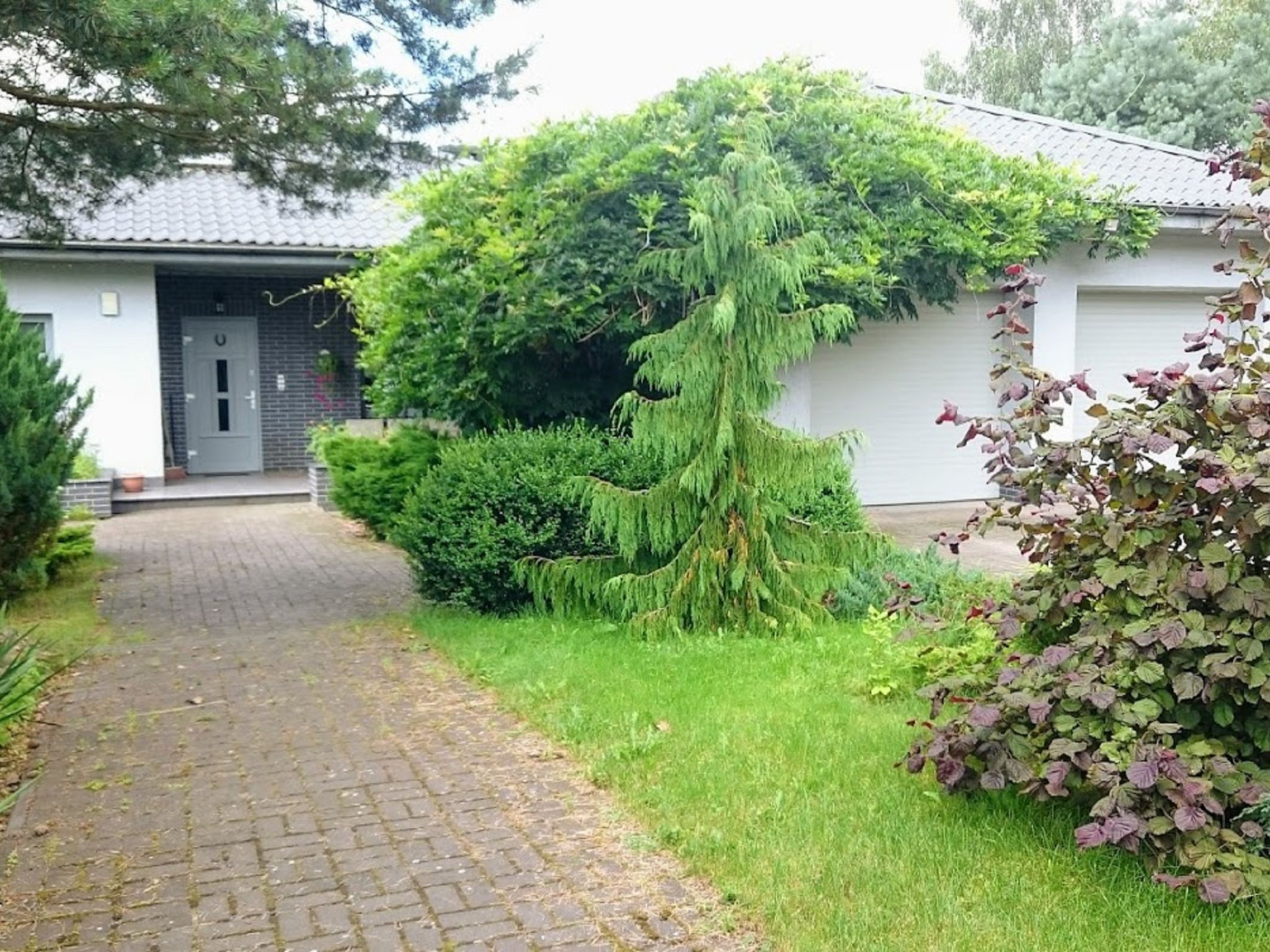 Photo 6 - Appartement de 1 chambre à Czaplinek avec jardin et terrasse