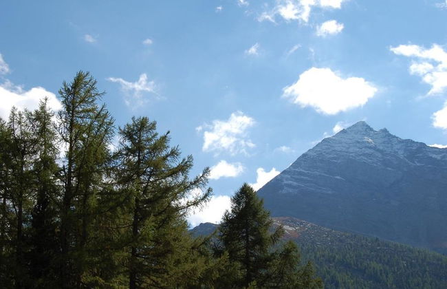 Apartamento de 1 quarto em Saas-Fee - Foto 9