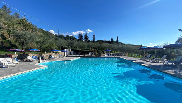Apartamento de 2 quartos em Pelago com piscina e jardim - Foto 2