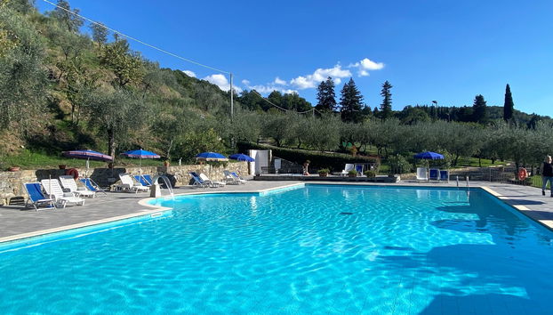 Apartamento de 2 quartos em Pelago com piscina e jardim - Foto 2