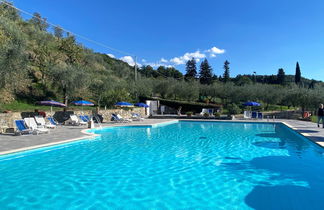 Photo 2 - Appartement de 1 chambre à Pelago avec piscine et jardin