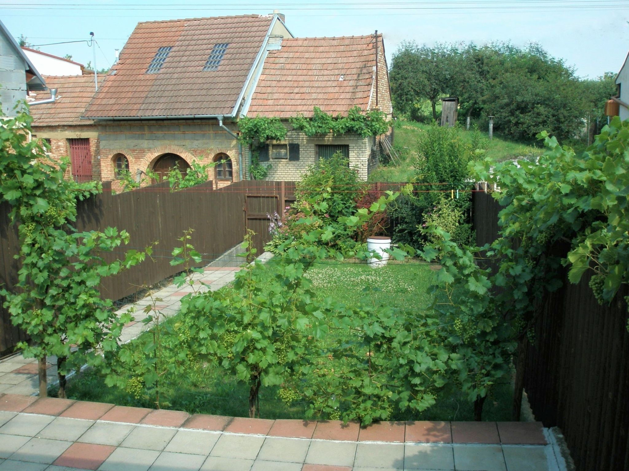 Photo 7 - Maison de 1 chambre à Dolní Bojanovice avec jardin et terrasse