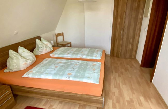 Apartment mit 1 Schlafzimmer in Dresden mit garten - Foto 3