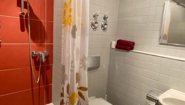 Apartment mit 1 Schlafzimmer in Dresden mit garten - Foto 4