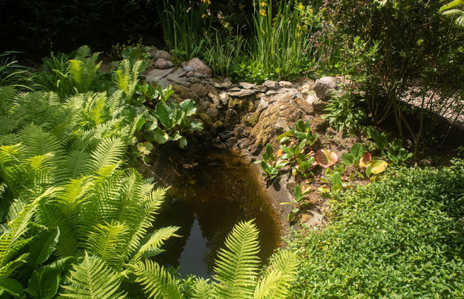 Casa de 4 quartos em Wejherowo (Gmina) com jardim e terraço - Foto 29