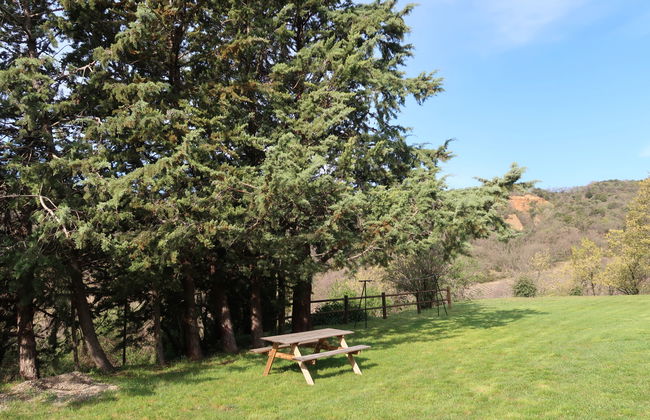 Casa de 2 quartos em Puimichel com jardim - Foto 19
