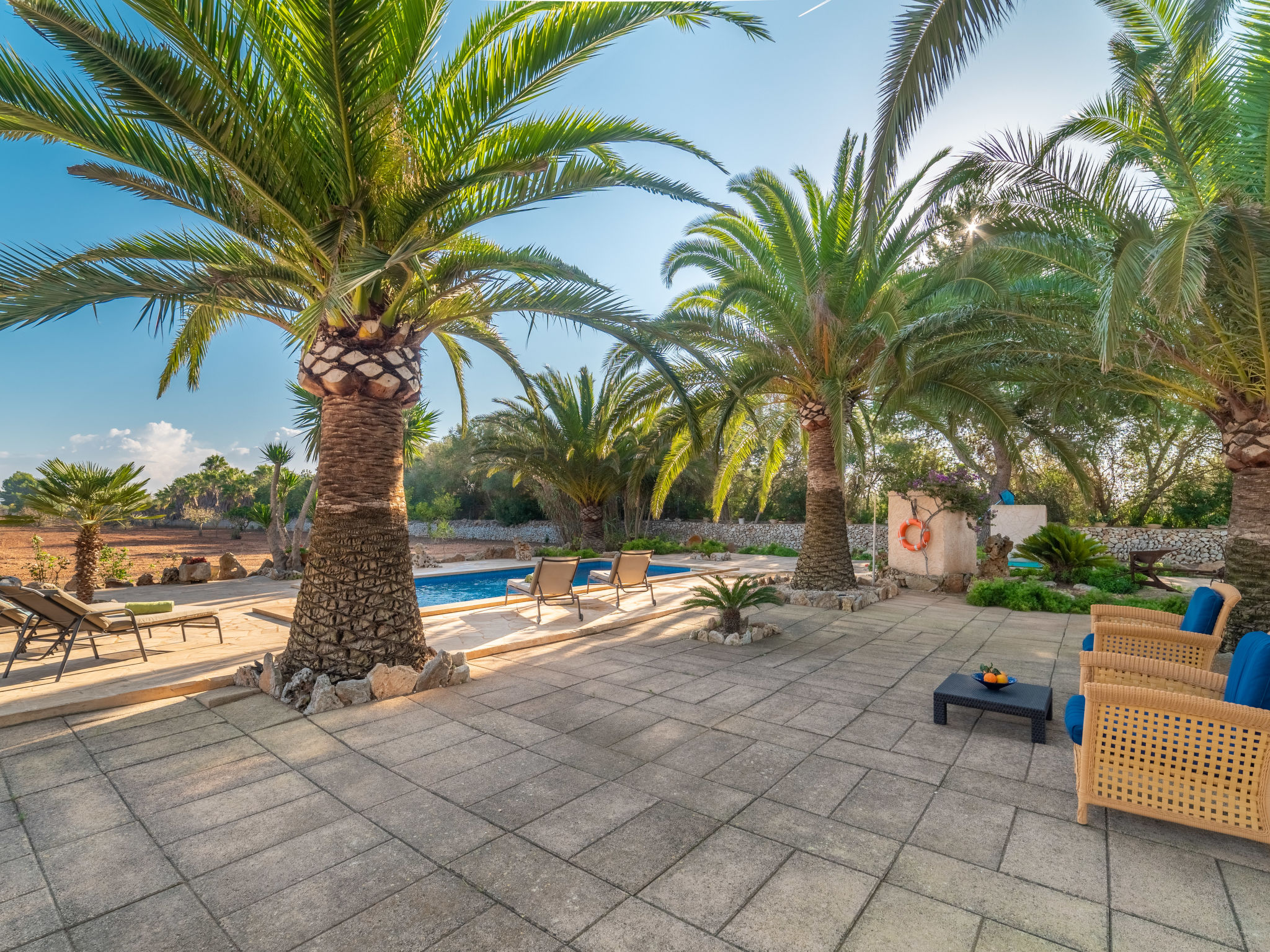 Photo 6 - Maison de 3 chambres à Porreres avec piscine privée et jardin