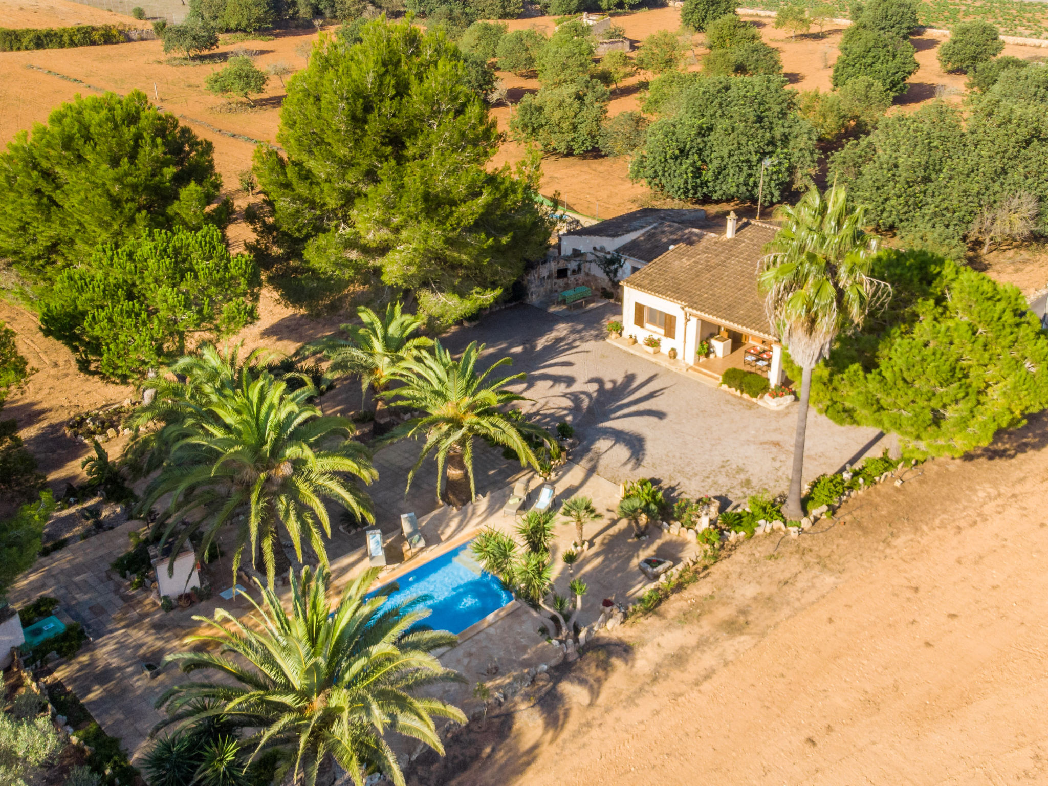 Foto 2 - Casa con 3 camere da letto a Porreres con piscina privata e giardino