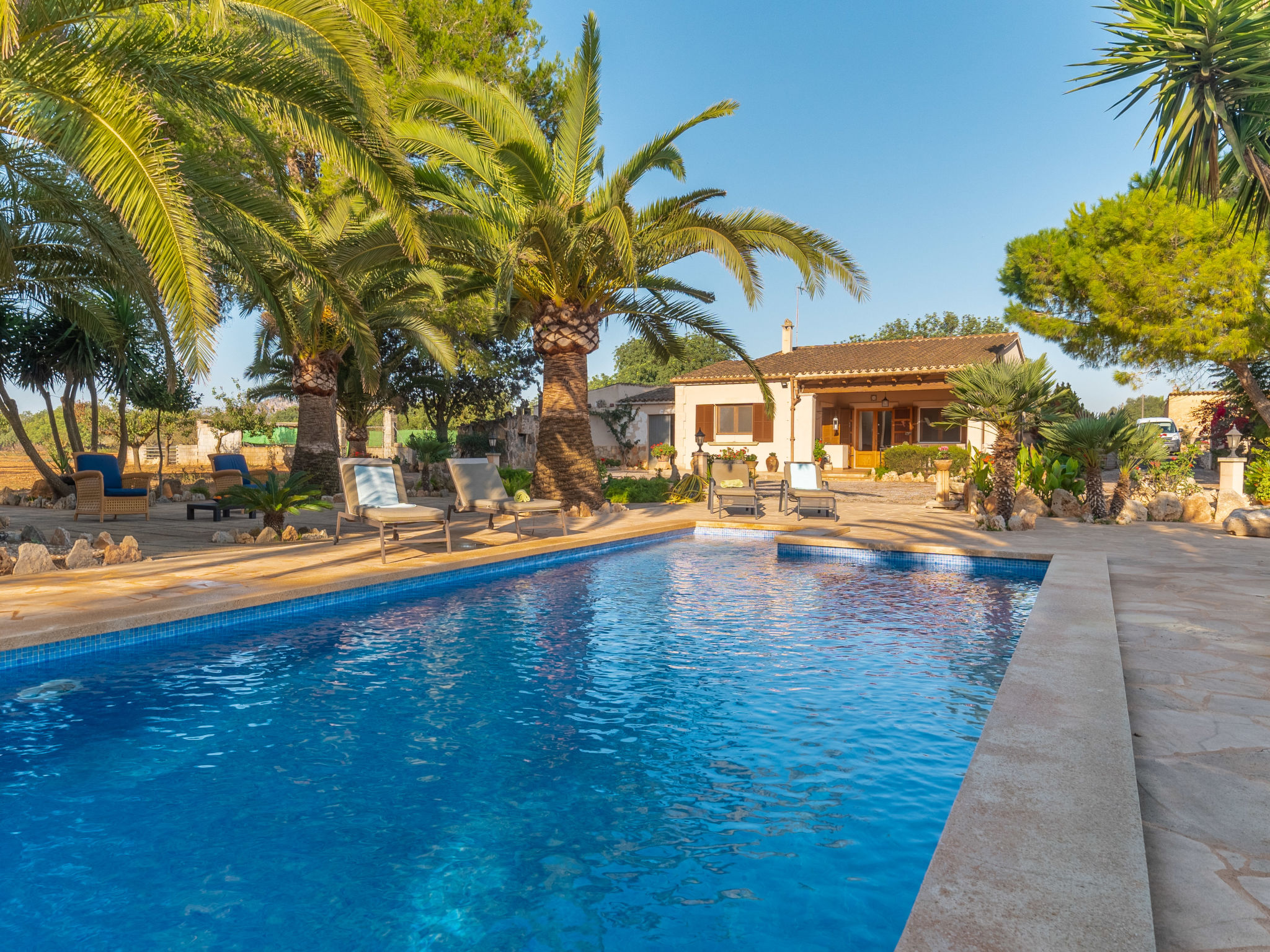 Photo 14 - Maison de 3 chambres à Porreres avec piscine privée et jardin