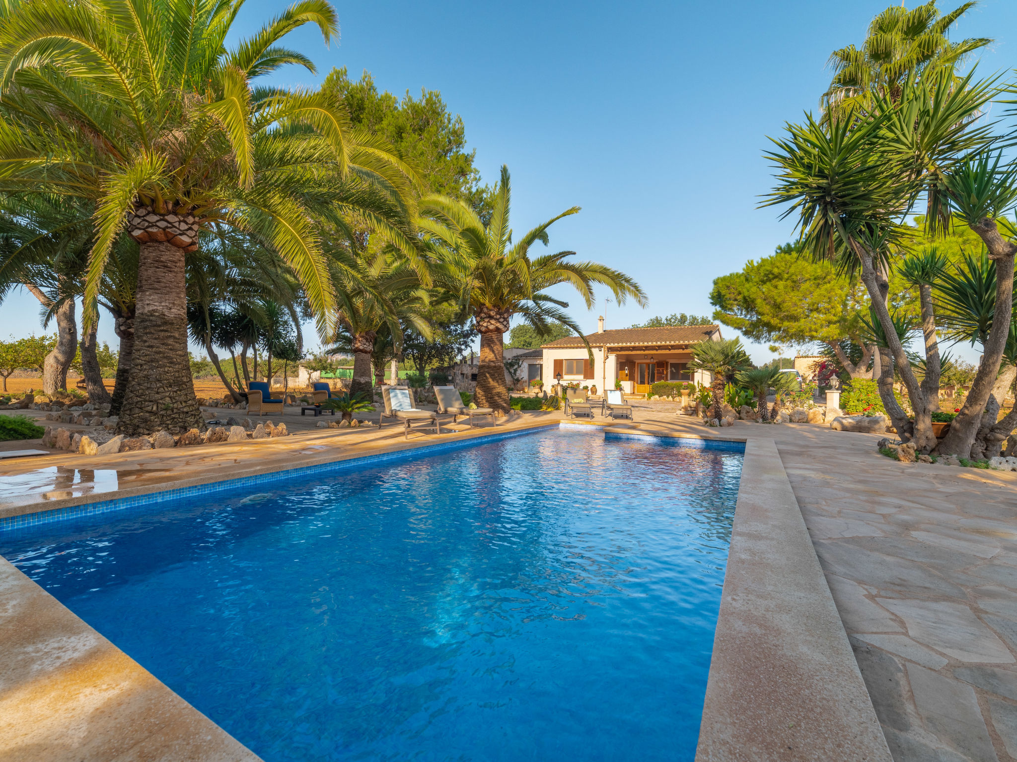 Photo 1 - Maison de 3 chambres à Porreres avec piscine privée et jardin