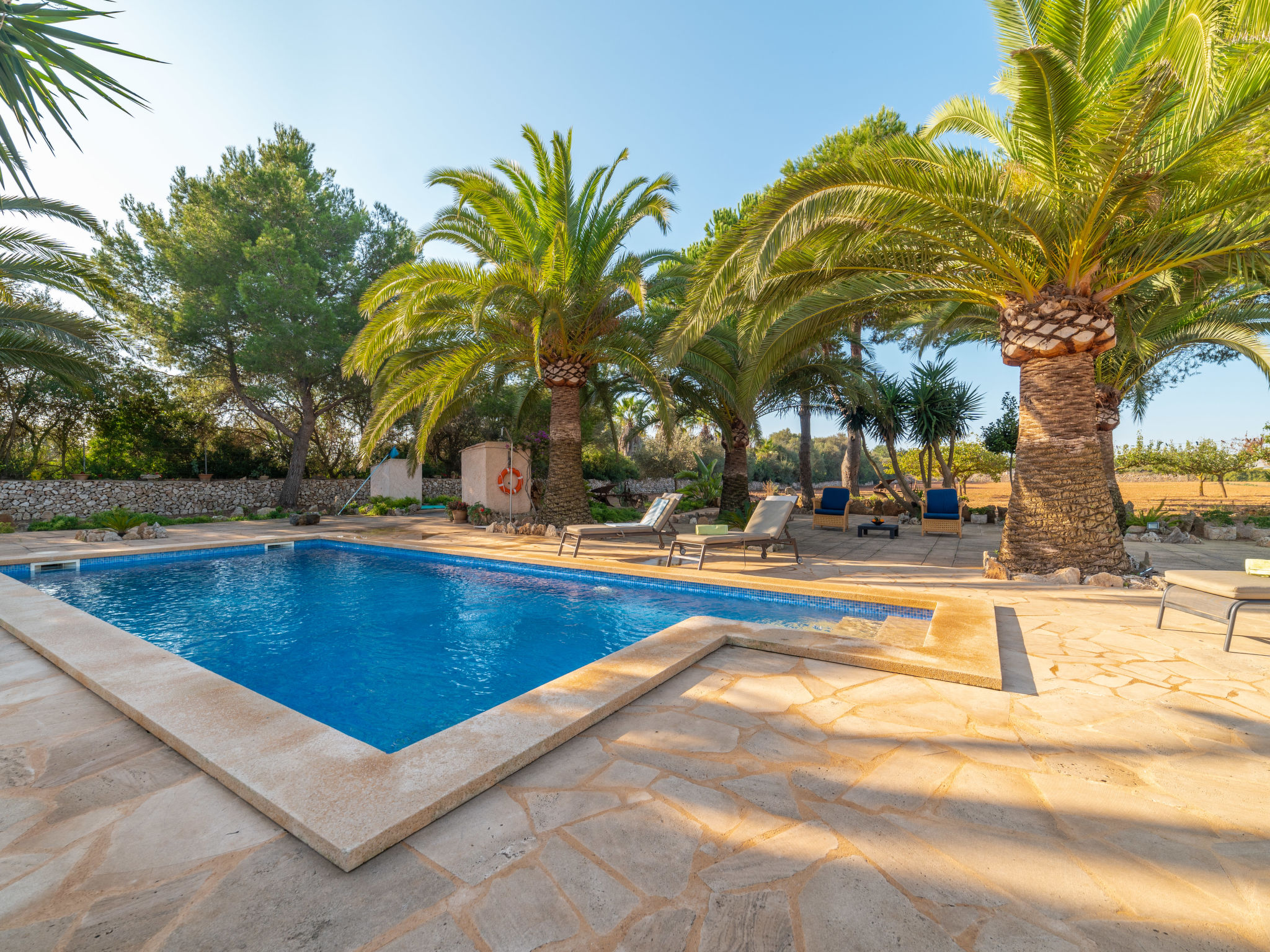 Photo 11 - Maison de 3 chambres à Porreres avec piscine privée et jardin