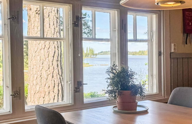 Punatulkku - Foto 48