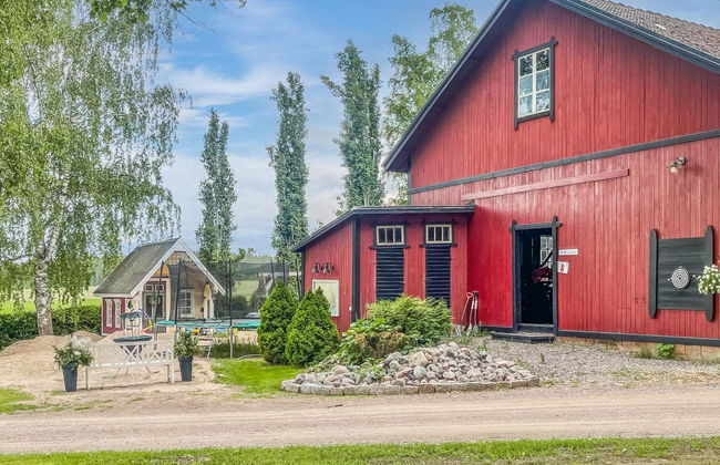 Punatulkku - Foto 46