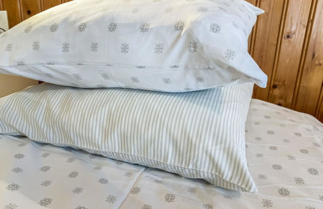 Punatulkku - Foto 20