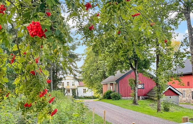 Punatulkku - Foto 40