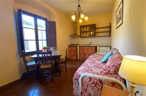 Foto 12 - Appartamento con 1 camera da letto a Pelago con piscina e giardino
