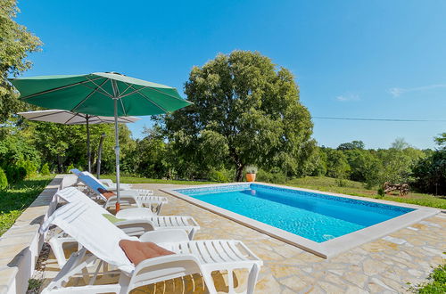 Foto 1 - Casa de 3 quartos em Žminj com piscina privada e jardim