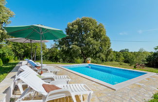 Foto 1 - Casa con 3 camere da letto a Žminj con piscina privata e giardino