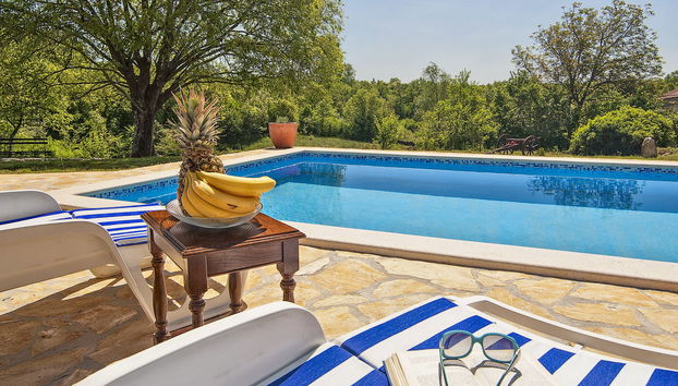 Maison de 4 chambres à Žminj avec piscine privée et jardin - Photo 5