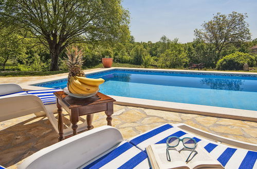 Foto 5 - Casa de 3 quartos em Žminj com piscina privada e jardim
