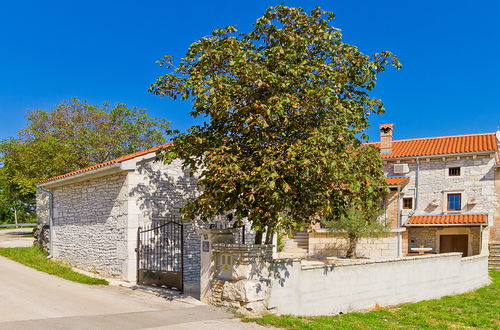 Foto 21 - Casa de 3 quartos em Žminj com piscina privada e jardim