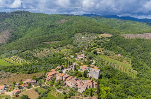 Photo 53 - 1 bedroom Apartment in Bucine with swimming pool and garden