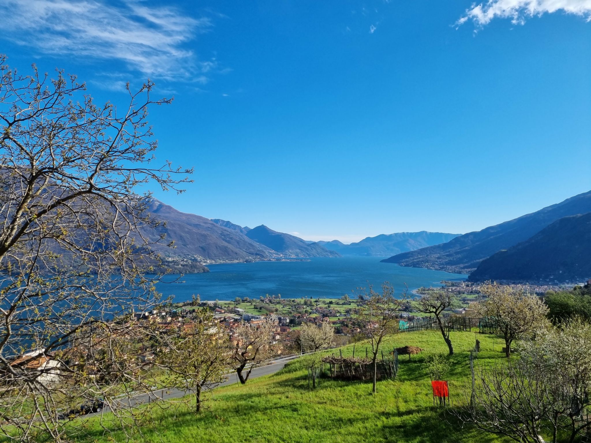 Foto 3 - Appartamento con 2 camere da letto a Gravedona ed Uniti con giardino e vista sulle montagne