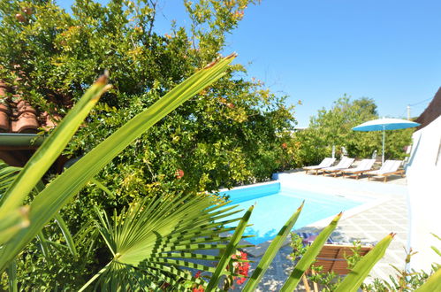 Photo 22 - 3 bedroom Apartment in Bilice with private pool and sea view