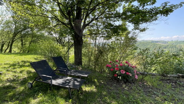 Apartment mit 2 Schlafzimmern in Bonvicino mit schwimmbad und garten - Foto 5